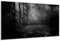 DARO Design - Wand-Bild auf 6mm HDF 40x30 cm Horror Grusel Grau in Grau - Wand-Deko Bilder Geschenk
