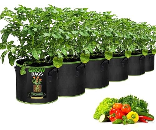 Trlyane Lot de 6 Sacs à Plantes, 20L Ø 30cm Hauteur 25cm Sac de Culture en Non Tissé Pot de Fleur Sac de Jardin avec Poignée Sangles Aération Tissu Pots, 5 Gallons
