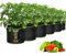 Trlyane Lot de 6 Sacs à Plantes, 20L Ø 30cm Hauteur 25cm Sac de Culture en Non Tissé Pot de Fleur Sac de Jardin avec Poignée Sangles Aération Tissu Pots, 5 Gallons