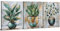 Green Botanical Prints Wall Art for Bathroom Decor Sage Green and Gold Wall Decor Tropical Plant Leaf Wall Prints Teal Boho Canvas Artwork for Hallway Living Room Office Home Decoration 30x40cm 3Pcs
