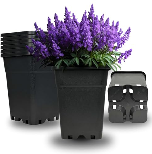 Cultonix Viereckiger Blumentopf 7L – 20er Set | Pflanztopf eckig Kunststoff, Anzuchttöpfe für Balkon & Terrasse, Blumentöpfe Indoor Outdoor, Einsatz für Pflanzkübel groß außen