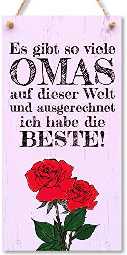CARISPIBET Ich habe die beste Oma | Liebenswert und niedlich Zuhause Dekoration Schild