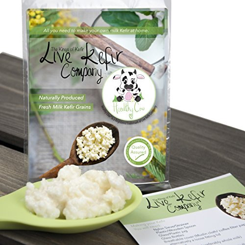 Live Kefir Company - Lebendmilch-Kefir-Körner - Unpasteurisierte Kefir-Kulturen - Glutenfrei - Ganze Milch - In Glas - 100g