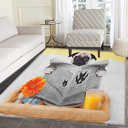 Tim - tim - honor 200 smart 5g - sistema operativo: android-dimensioni schermo (pollici): 6,700-capacit di memoria: 12,000- - 1323732