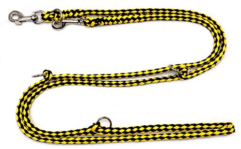 Hundeleine Doppelleine Übungsleine Führleine für mittlere Hunde bis 45 Kg über 39 Farben sehr stabil (2,40 m, Dortmund)