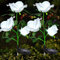 eaaerr Solarlampen für Außen Garten 2 Stück Solarleuchten Garten mit 6 Größer Rose Blume,Wasserdicht LED Solarleuchten Garten Deko für Büsche,Rasenflächen,Zäune,Blumenkästen,Spazierweg (Weiß)