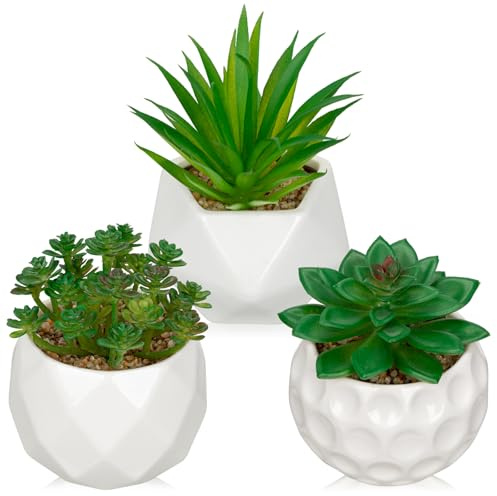 Briful Set of 3 Fake Plants Artificial Succulents in White Ceramic Pot, Small Artificial Plants Faux Succulent for Tabletop, Decorative Succulent Plant for Bathroom, Bedroom, Home Decor