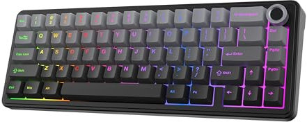 EPOMAKER X AULA F65 PRO Tastiera da Gioco Meccanica senza Fili, Hot-Swap, Manopola e Copritastiera in PBT Lucido, RGB, BT/2,4GHz, qwerty, 65% US layout (Gradient Grey, Reaper Switch)