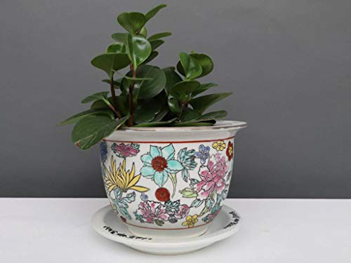 Yajutang China Porzellan Blumentopf Weiß mit bunten Blumen Ø13cm