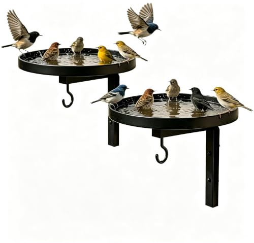 ZAMETTER Vogelfutterstation & Vogelbad aus Metall Wandmontage 21,8x20x17cm | Eisen Hängende Vogeltränke Zieht Wildvögel Vogelfutterstation mit Haken für Außenbereich Terrasse Zaun Hof Gartendekoration