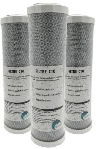 Desineo Lot de 3 Cartouches Charbon Actif + sédiment 5 microns pour Porte Filtre 10 Pouces