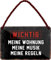 Wichtig! Meine Wohnung - meine Musik - meine Regeln 18x12 cm Blech Hängeschild HS380