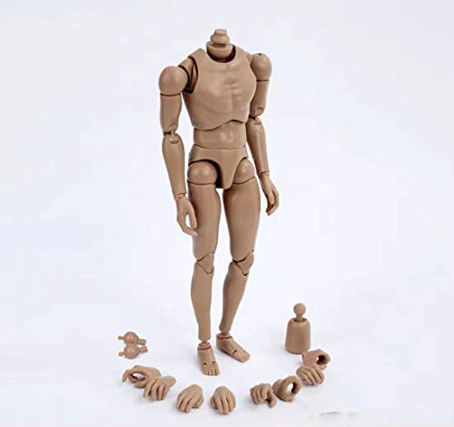 1/6 Skala Männlichen Körper,12inch Männliche Joint Flexibel Muskulöse Soldat Action-Figur Körper Sammlung (Weizen Skin - breitschultrig)