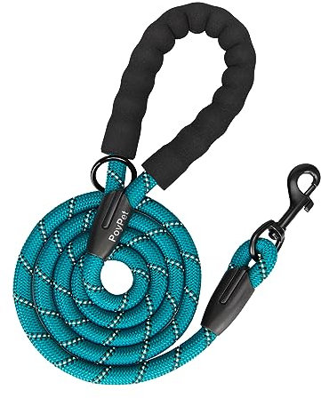 PoyPet Hundeleine Starke Hundeleine mit bequem gepolstertem Griff und stark reflektierenden Fäden für kleine, mittlere und große Hunde(Tumalo Teal)