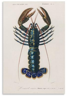 FUPMTKLT Gemeiner Hummer-Poster, Vintage-Meerestiere, Wildtiere, Purpur, Krebs, Leinwand-Poster, Schlafzimmer, Dekoration, Landschaft, Büro, Raumdekoration, Geschenk, 20 x 30 cm