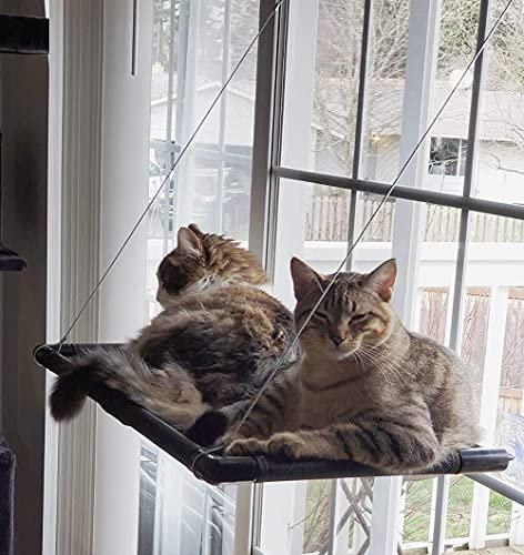 Dracarys Katzen hängematte Fenster | für große Katzen bis 20 kg | Verstärkte Katzenhängematte mit starkem Saugnapf | Sonnenbad Katzenbett Haustierbett,Geeignet für Fensterlänge ≥76cm und Höhe ≥64 cm
