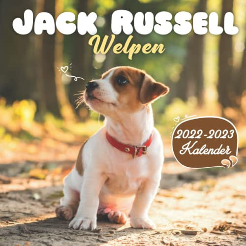 Jack Russell Welpen Kalender 2022-2023: 24-Monats-Kalender von Januar 2022 bis Dezember 2023. Platz für Notizen. Es ist ein perfektes Geschenk für einen geliebten Menschen