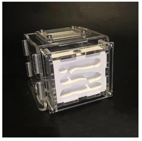 Ameisenfarm Formicarium Ameisennest-Farm DIY Gips Ameisenfarm Gips Ameisennest Mit Fütterungsbereich Befeuchten Ökologische Ameisenwerkstatt Ameisenfarm für Draußen(S)