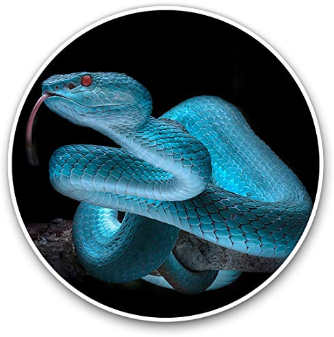 Vinylaufkleber 7,5cm - Blue Viper Snake Reptilienschlange #15532