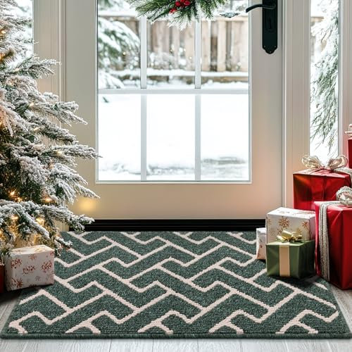 Biscpro Schmutzfangmatte 60x90 Fußmatte Innen, Wasserdicht Schmutzabsorption Matte rutschfest für Außen Eingang, Stufenmatten, Teppich, küchenteppich