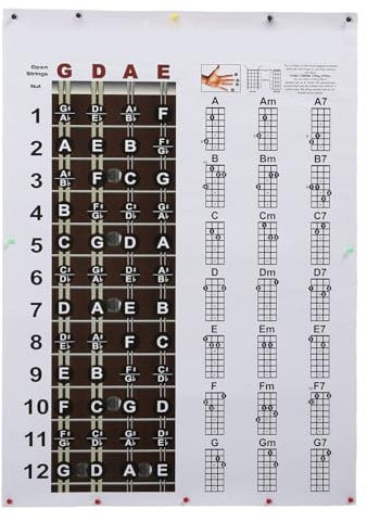 Mandolin Chord Chart Instructional Poster, Mandolin Fretboard Reference Notes for Beginners Professionals, 15.75 X 22.05in