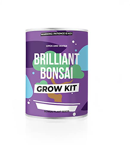 Pflanzen aus der Dose - Geschenkset (Bonsai)