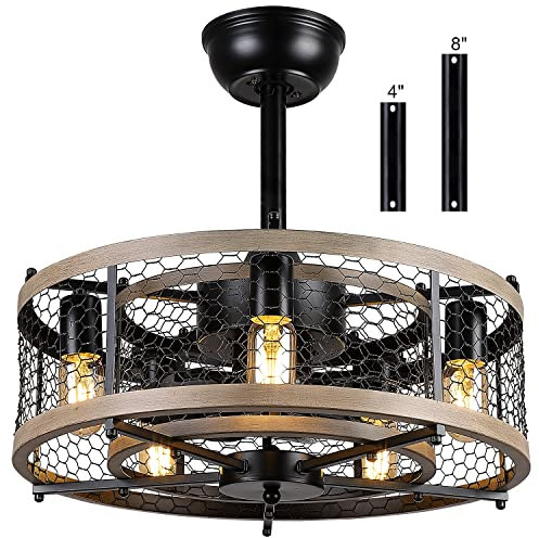 MADSHNE 20 Inch Cage Ceiling Fan with Remote Control Small Farmhouse Black Rustic Bladeless Ceiling Fan for Bedroom Kitchen
