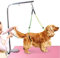 Felenny Pet Grooming Table Rope Pet Grooming Leash Neck and Haunch Holder Belly Strap Set For Pet Grooming Table Pet Grooming Loop, for Small/Medium Dogs (Yellow And Green)