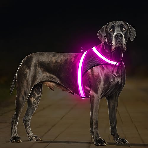 ChalkLit LED Leuchtendes Hundegeschirr USB Wiederaufladbares Vollständig Beleuchtetes Hundegeschirr Leuchtet Im Dunkeln für Nachtspaziergänge Sicherheitsweste, mittelgroße große Hunde (Rosa, XL)