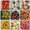 8 pcs Pfirsichbaum Samen, obstbäume, balkonpflanzen winterhart peach samen, Prunus persica, Pfirsichbaum, säulenobst, indoor gewächshaus obstsamen bonsai samen exotische früchte winterharte