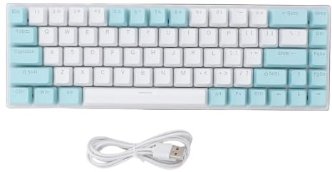 XUMIUZIY Tastiera Meccanica, Tastiera da Gioco Cablata Retroilluminata da 68 Tasti con Interruttore Blu e Tasti a Doppio Colore, per Laptop per PC Winos MacOS (Verde e Bianco)