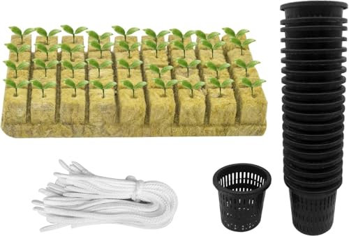 GIONAR Set di 76 vasi a rete per coltura idroponica, include 20 tazze a rete scanalate da 5,1 cm, 36 tappi per avviamento in stonewool, 20 articoli con cordino per stoppino in cotone autoirrigante per