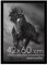 Americanflat Cadre Photo 42x60 cm en Noir - Bois D'ingénierie avec Verre Résistant aux Chocs et Matériel de Suspension - Formats Horizontaux et Verticaux pour Mur