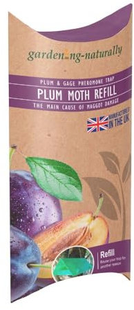Plum Moth Pesticide Free Pheromone Plum Moth Refill
