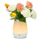 SUAVER LED Dimmbar Vase Lampe Nachtischlampe mit 3 Modi Touch Sensor USB Aufladbar 350ml Wasser Kapazität Dekorative Lampe für Schlafzimmer Wohnzimmer Büro Tisch usw [Energieklasse A+]