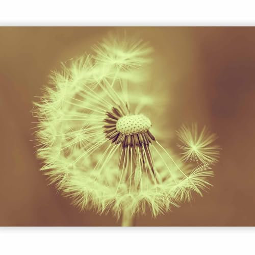 murando Fototapete selbstklebend Pusteblume 392x309 cm Tapete Wandtapete Klebefolie Dekorfolie Tapetenfolie Wand Dekoration Wandaufkleber Wohnzimmer Blumen Natur Pflanzenmotiv