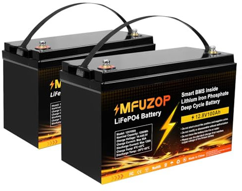 MFUZOP 2PCS 12V 100Ah LiFePO4 Lithium Battery with 100A BMS, 1280Wh Lithium Iron Phosphate Battery, 8000-15000 Deep Cycle Battery, Support in Series/Parallel, for RVs, Boats, Solar Panel System