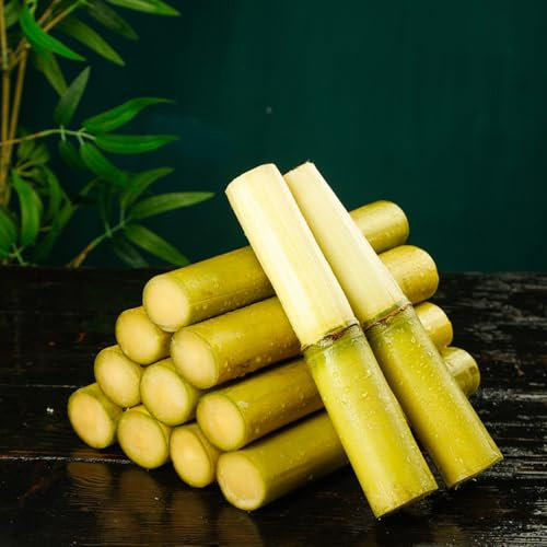 Canna da zucchero fresca Saccharum frutta esotica alberi da frutto colonnari frutta fresca fresca Copertura del terreno Piante da giardino saccarosio officinale piante da frutto semi 250pcs