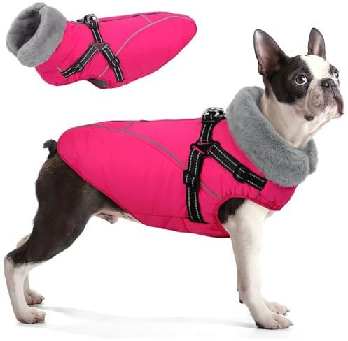 Queenmore Hundemantel Winter, Wasserdicht 3-Schicht Ausführung Hundejacke | mit Geschirr, Wintermantel Hund für Labrador/Golden Retriever/Windhund Für lange Spaziergänge bei Kälte & Schnee (Rose, XL)