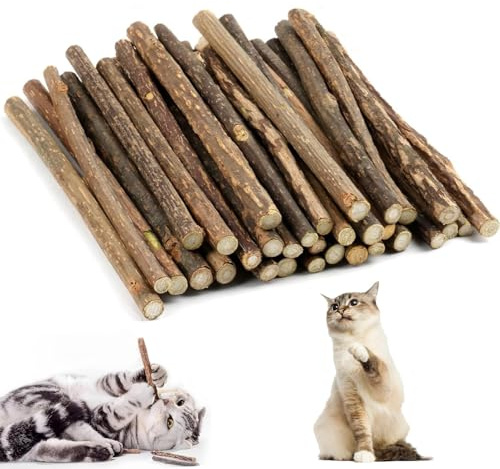 CUEMOON Set di 32 bastoncini per legno da masticare, per gatti, per la cura dei denti e contro l'alito cattivo, naturali e sicuri, bastoncini da masticare