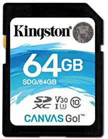 Kingston Canvas Go SDG 64GB Class 10 Speicherkarte