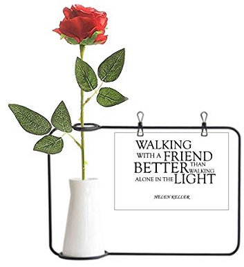 Beauty Gift Quote About Friendship by Helen Keller Artificial Rose Flower Hanging Vases Decoration Bottle