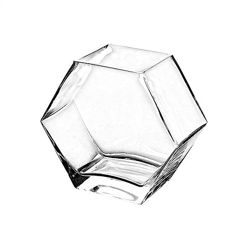 WFchenj222-6 Kleines Aquarium, kleines sechseckiges Aquarium, Glas, transparent, für den Schreibtisch, kleines Aquarium, tropisches Aquarium, ökologisches Aquarium, Goldfischschale