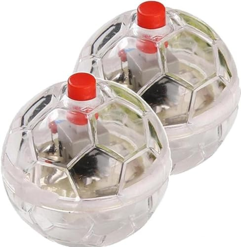 Wwyan 2 Pcs Flash Ball Toys, Ghost Flashing Balls, Light Up Cat Dog Balls Interactive Toy, Paranormal Equipment Pet Useful and Attractive