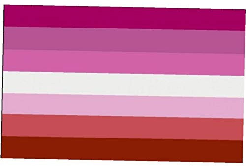 Zonfer 1pc Lesbienne Drapeau Fierté, Drapeau Fierté Lesbienne avec Laiton Oillets Double Stitched (90 * 150cm)