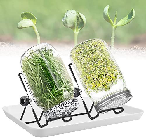 REFORUNG 2PCS Tarro Germinador 32oz/950ml Vaso Germinador de Semillas Tarro Cristal Germinador Redondo Tarro para Brotes con 2 Soportes Ajustables y Bandeja para Germinar Judías Brócoli Alfalfa Mungo