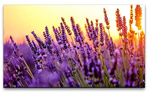 Paul Sinus Art Bilder XXL Lavendel Felder 120x70cm Wandbild auf Leinwand