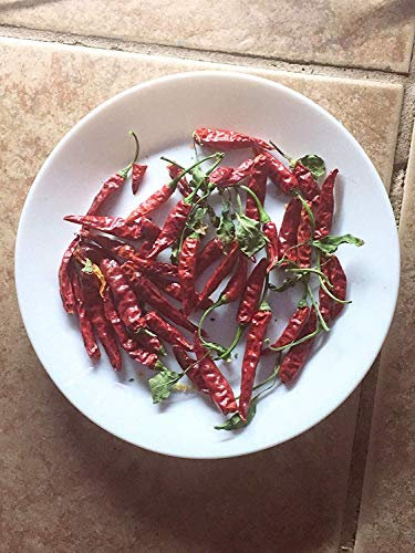 Pimienta - Chile de Arbol 15 Semillas