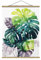 Kakemono Tropical - Hoch 4:3 Exotisches Blattwerk - Monstera 66.4 x 50cm Eiche