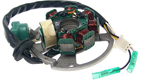 VANEZ Lichtmaschine/Stator Minarelli kompatibel für Adly Blizzard, Aprilia Area 51, Benelli 491, Garelli